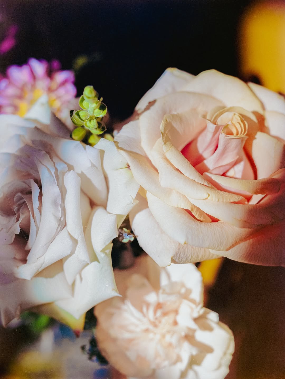 Nolis Anderson Mar. 26