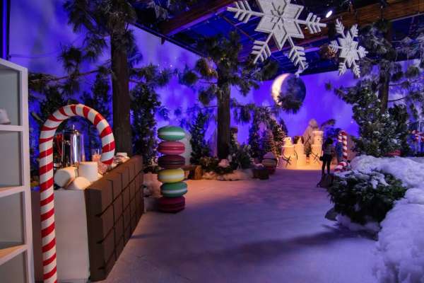 #Flashback to when we brought the holiday s...