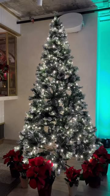 Happy holidays from the nya family to yours...