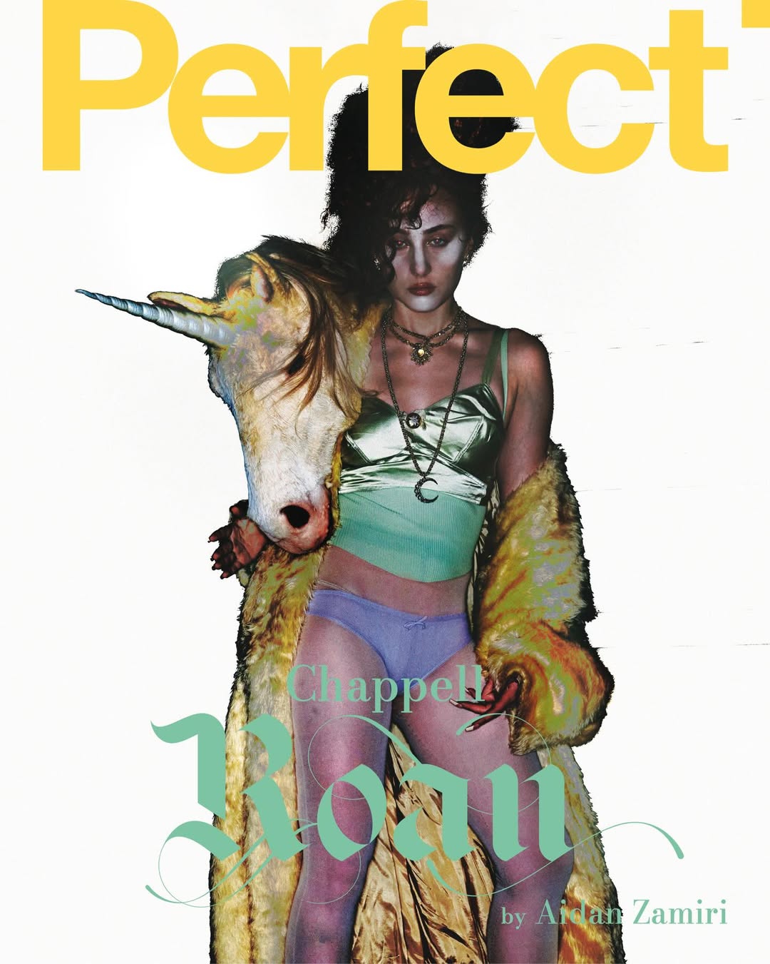 Aidan Zamiri X The Perfect Magazine