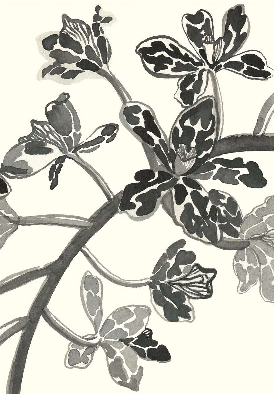 Angela Mckay Apr. 26