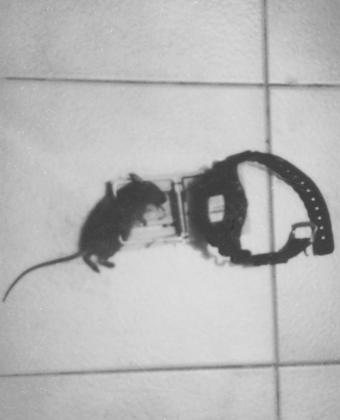 <a href="/olaf-wipperfurth">Olaf Wipperfurth</a> X L&#8217;Œil de la Photographie <span style="text-transform: none; white-space: nowrap;">Oct. 25</span>