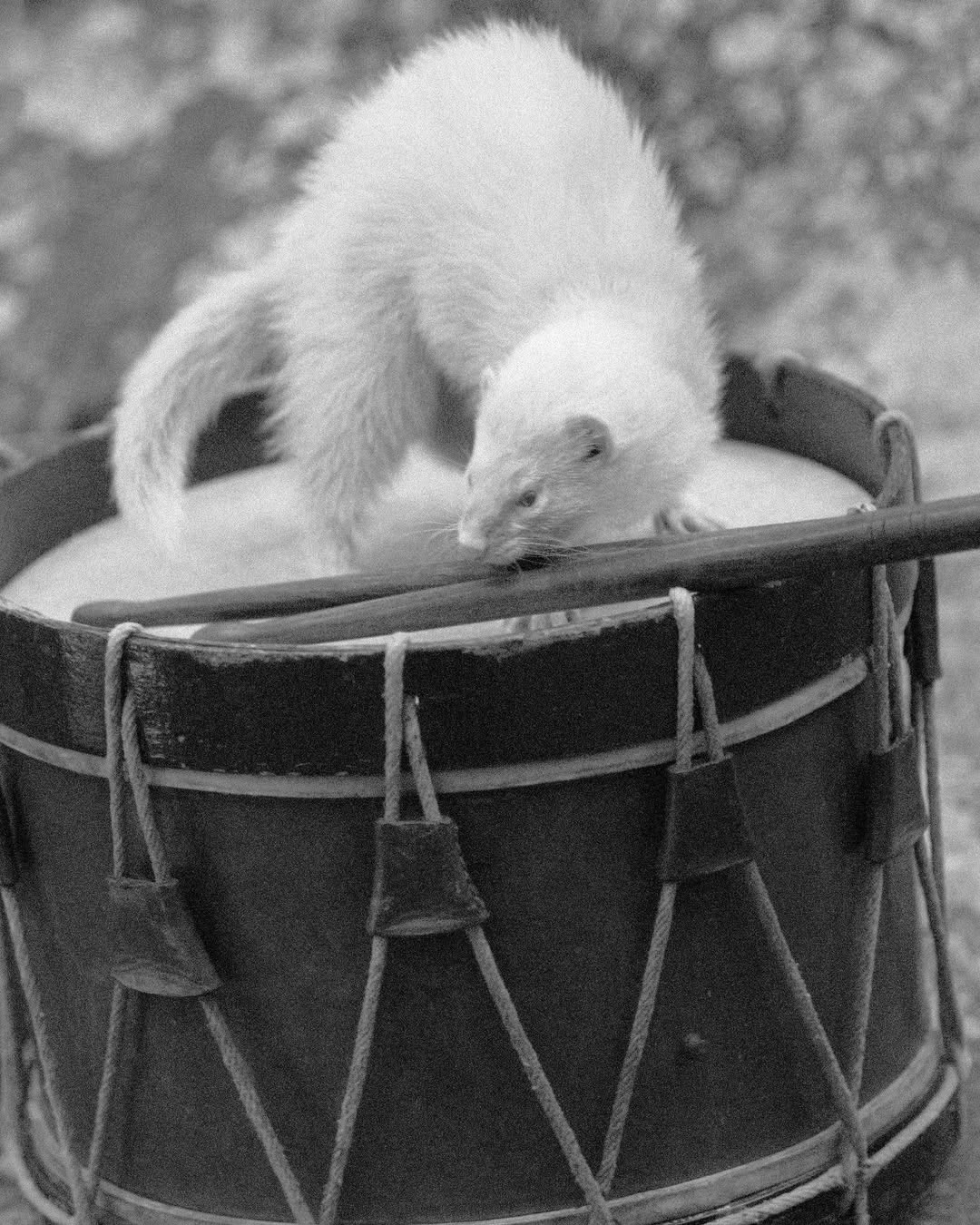 <a href="/olaf-wipperfurth">Olaf Wipperfurth</a> X L&#8217;Œil de la Photographie <span style="text-transform: none; white-space: nowrap;">Oct. 25</span>