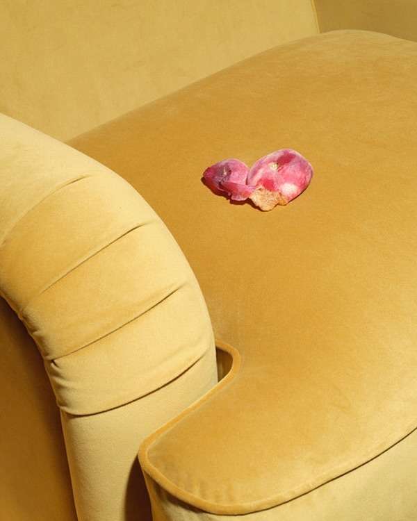 Lydia Whitmore
