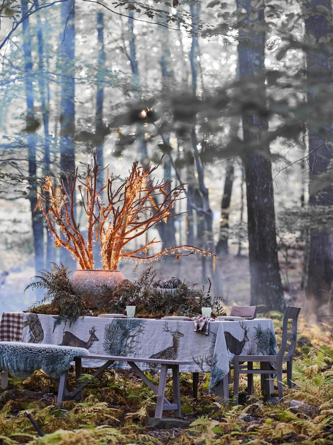 Debi Treloar X Terrain Dec. 25