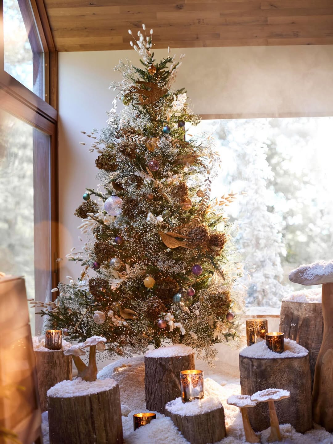 Debi Treloar X Terrain Dec. 25