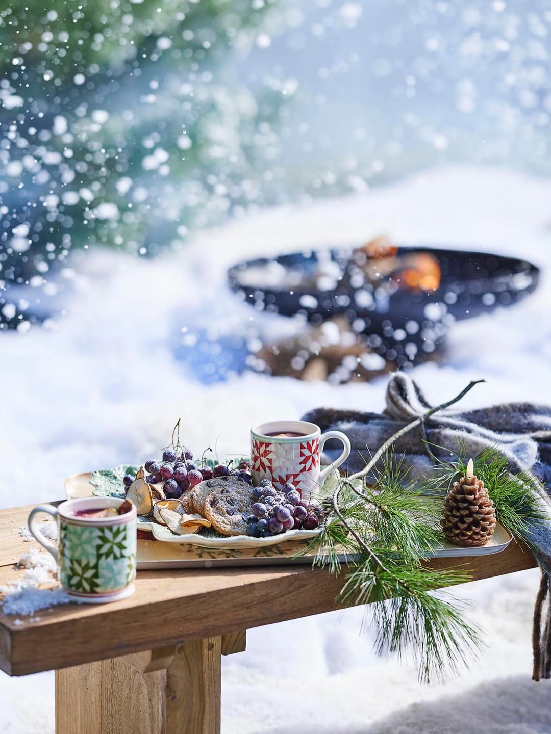 Debi Treloar X Terrain Dec. 25