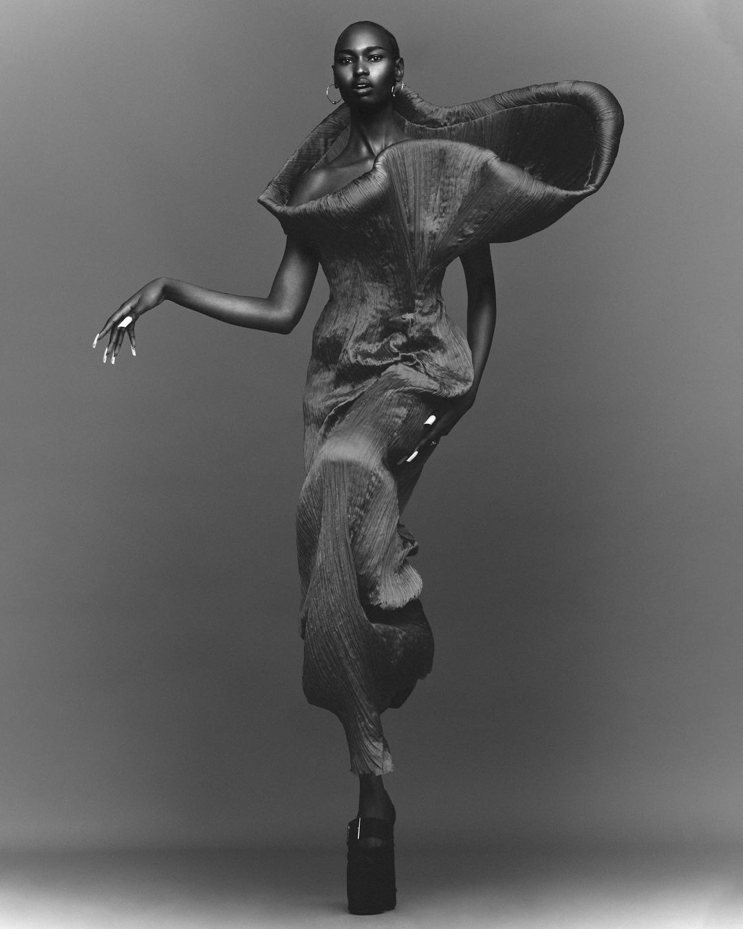 Wonderland |  Mar. 23