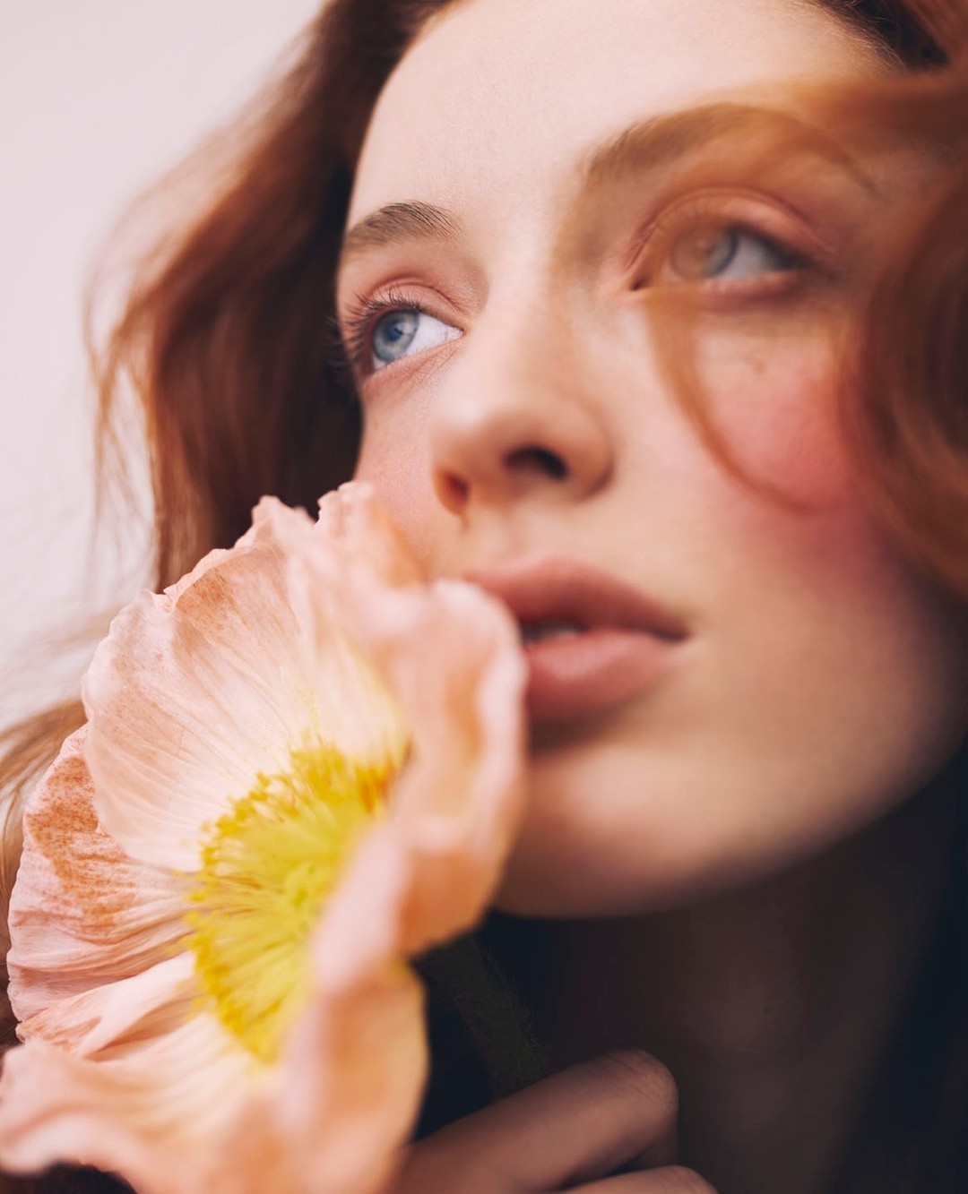 Armani Beauty |  May. 23