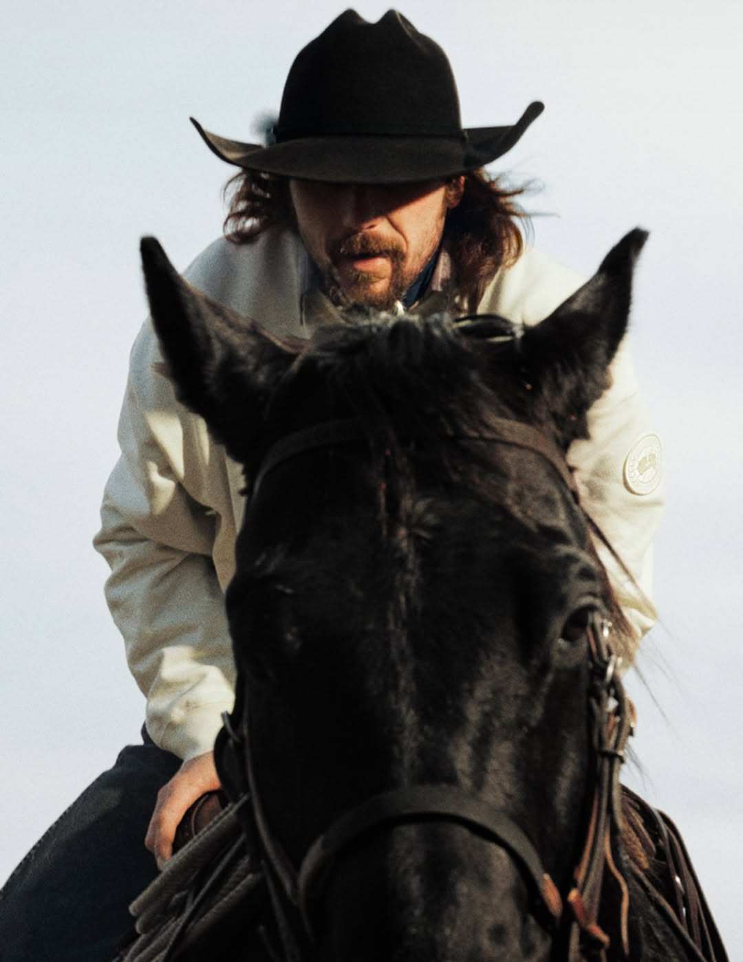 Year of the Horse, defined by motion and strength.