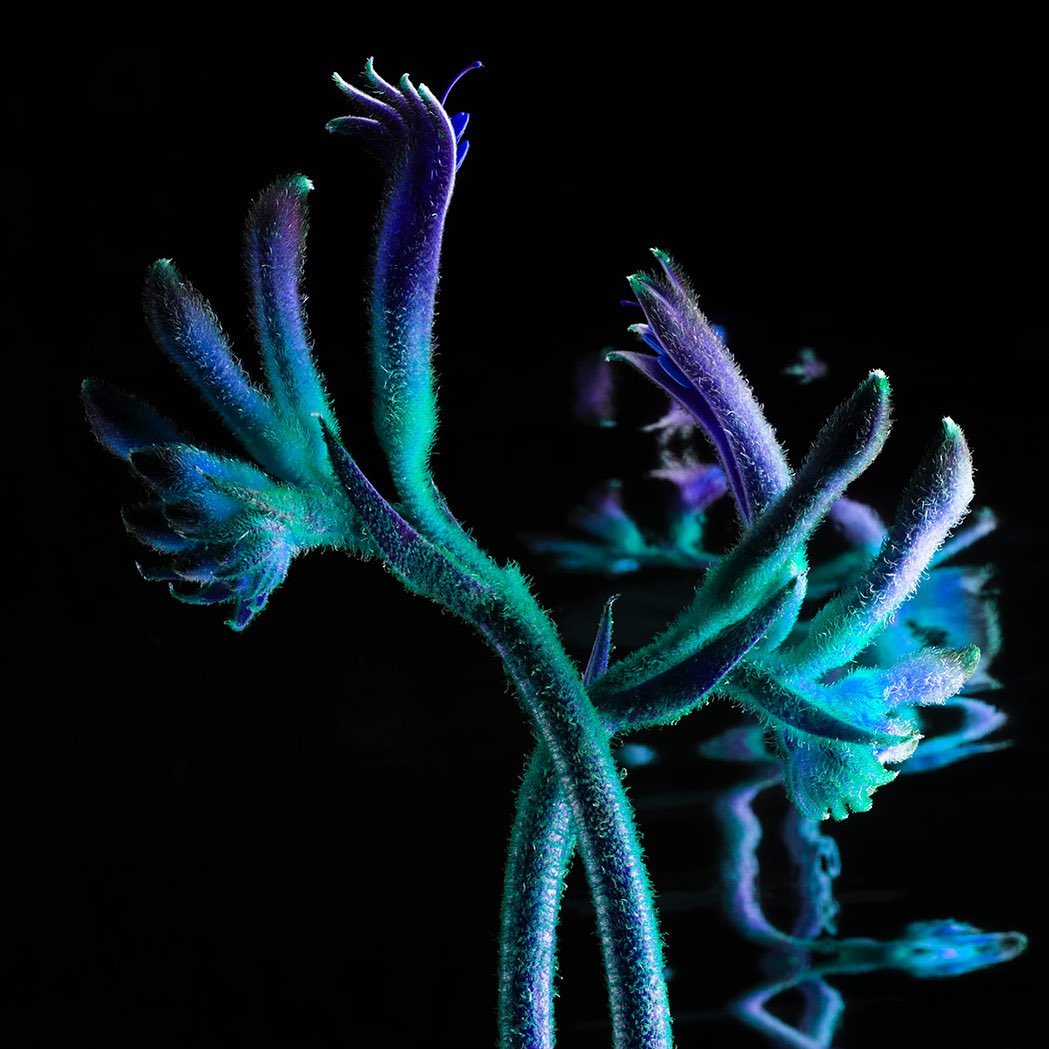 French Magazine |  Mar. 20