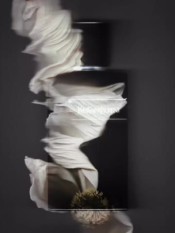 Bérengère Valognes