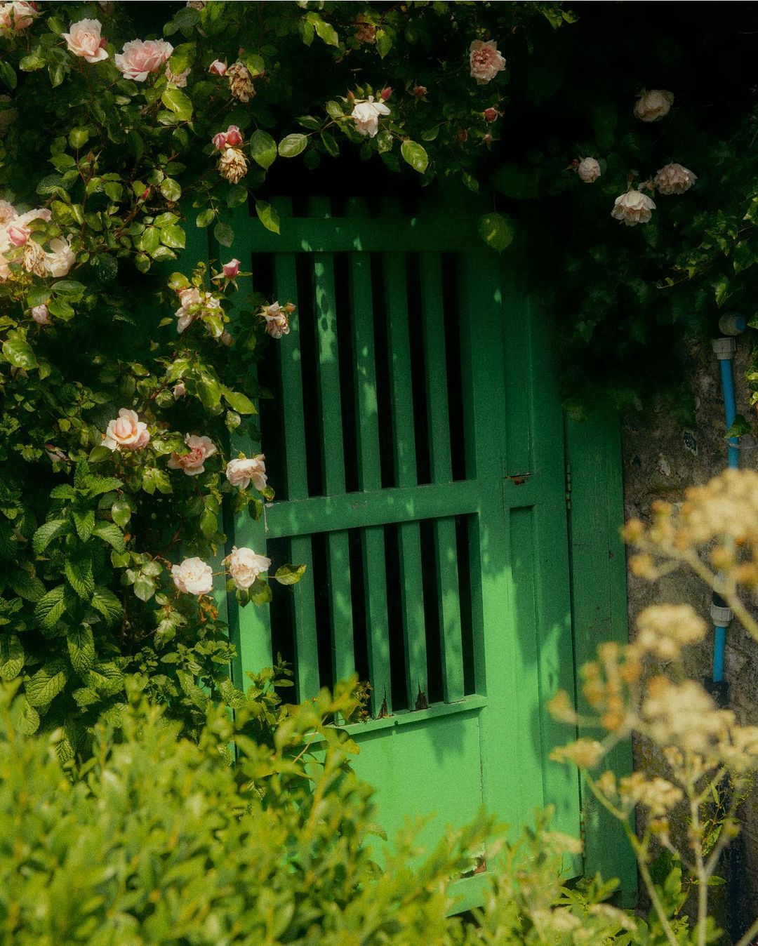 Architectural Digest España |  Aug. 23