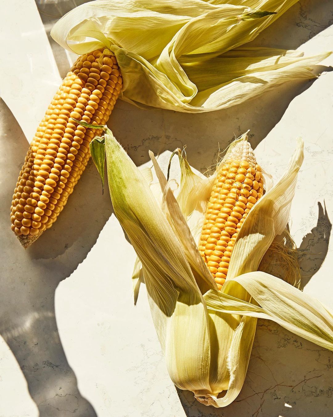 Cēna Atelier |  Jun. 23