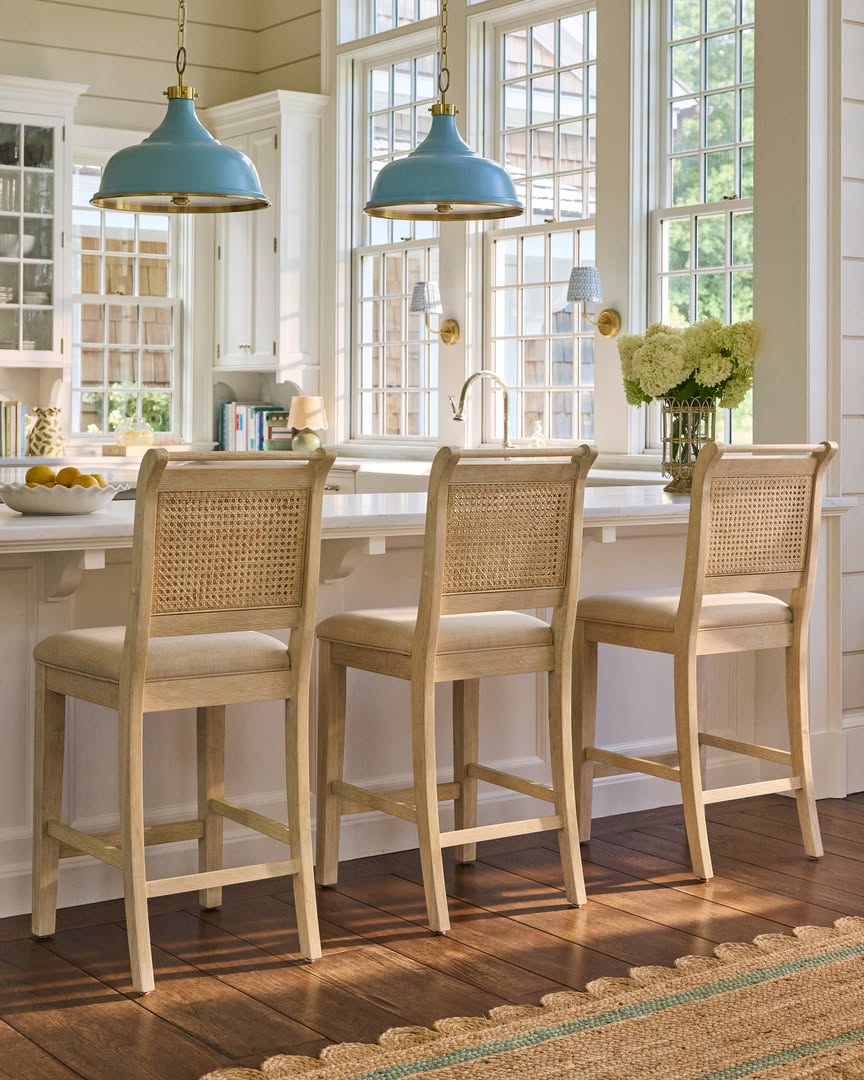 David Land X Birch Lane