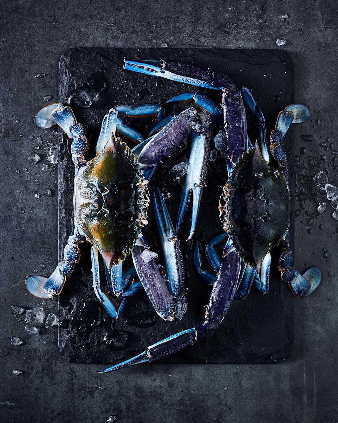 delicious. |  Oct. 19