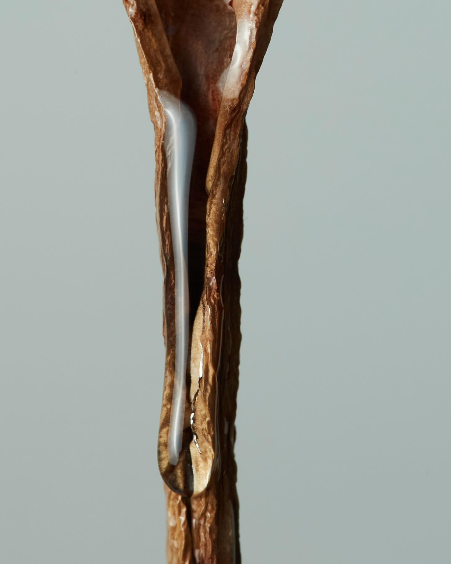 Paula Latimori