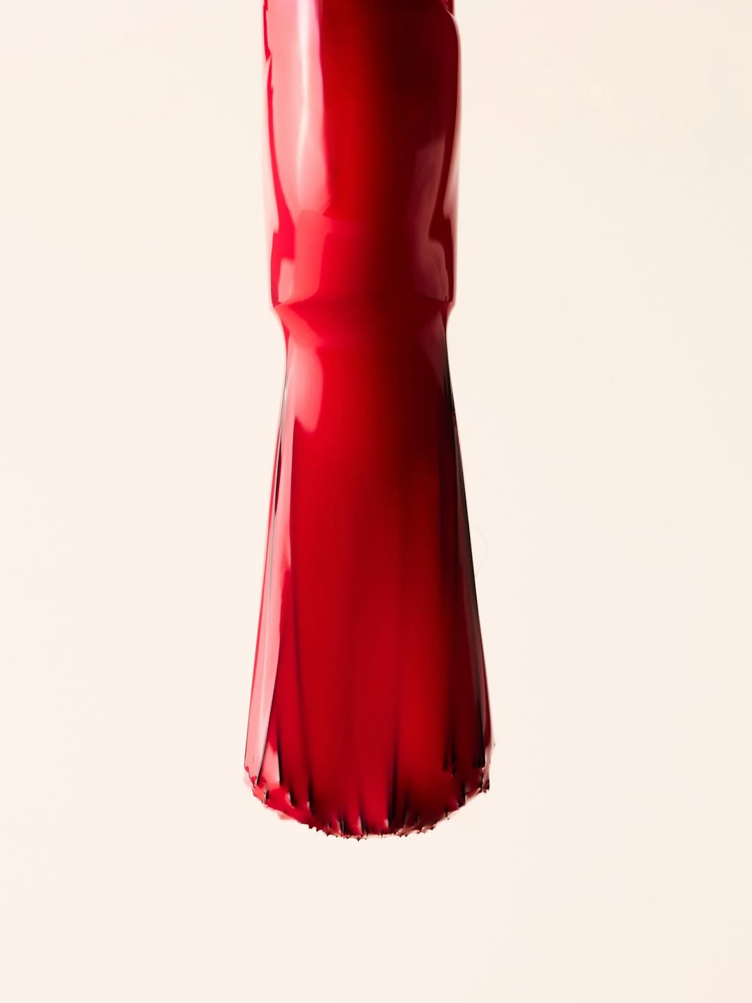 Paula Latimori X Hermès