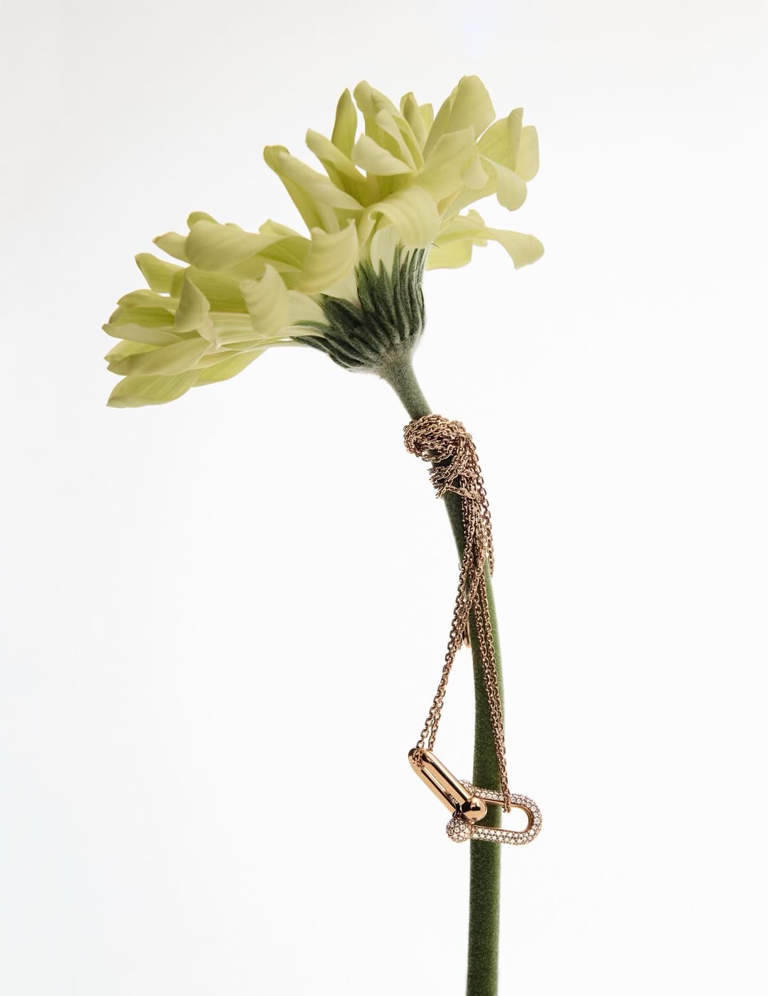 Paula Latimori X 10 Magazine Japan