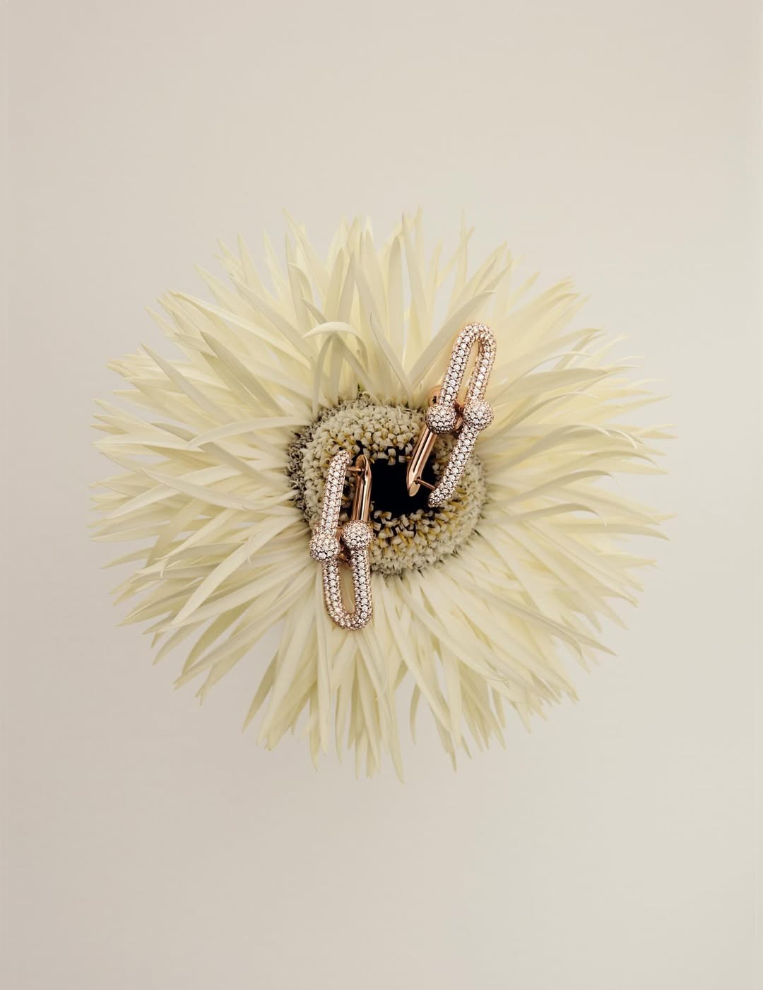 Paula Latimori X 10 Magazine Japan