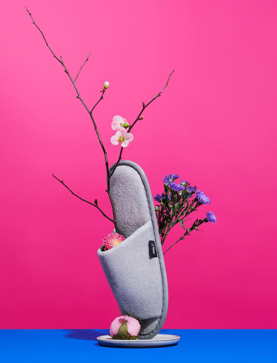 Paul Sirisalee X ANA Japanese Airline