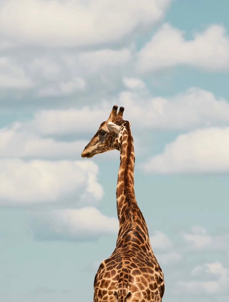 Jonathan Gregson X National Geographic Traveller Aug. 25