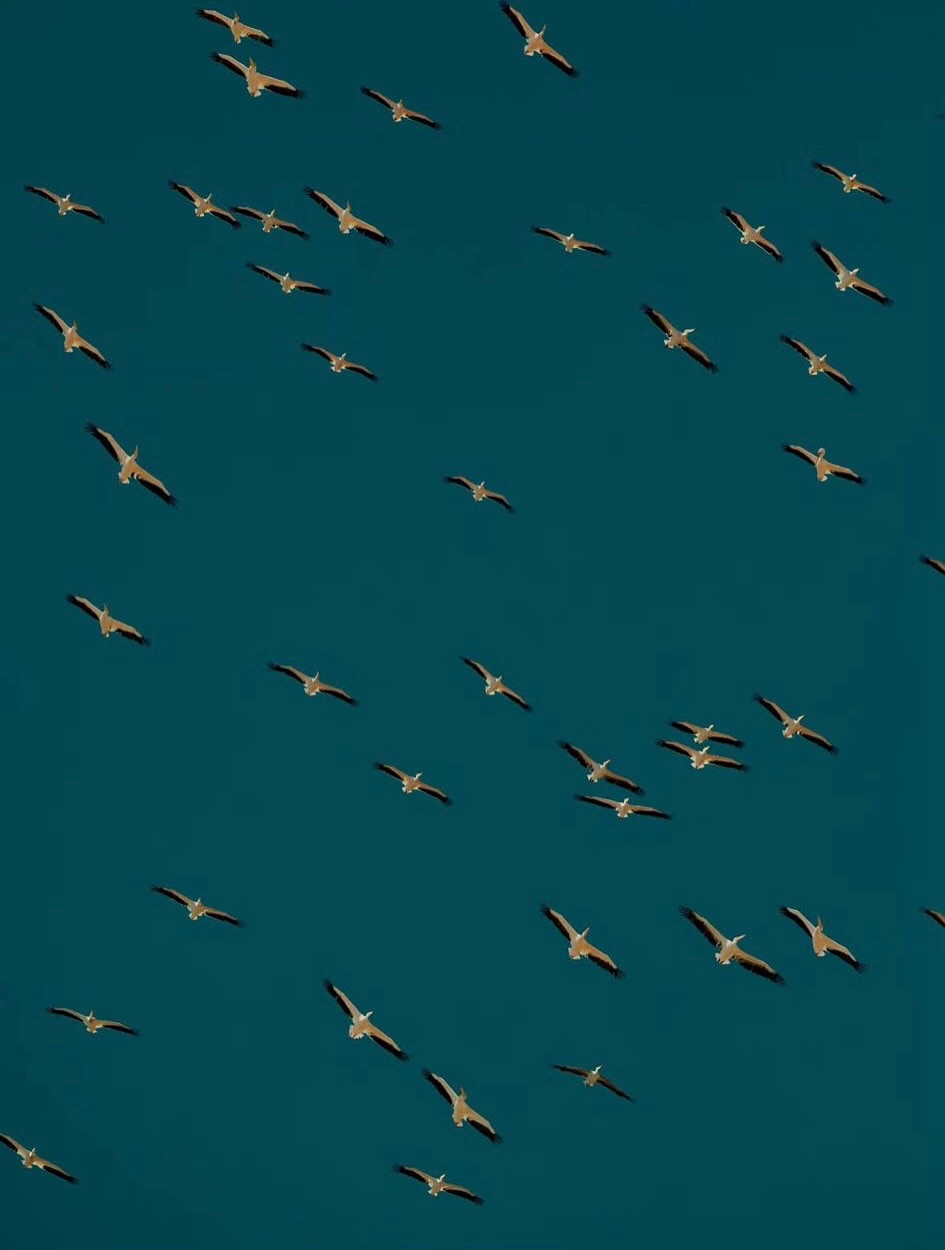 Jonathan Gregson X National Geographic Traveller Aug. 25