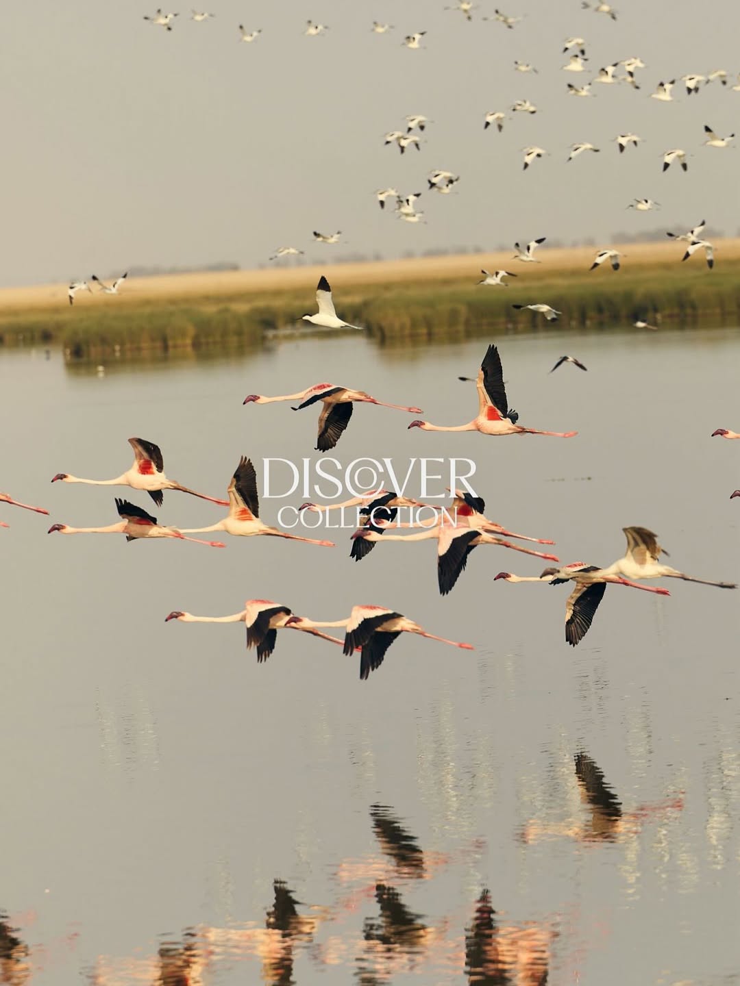 Toby Mitchell Dec. 25