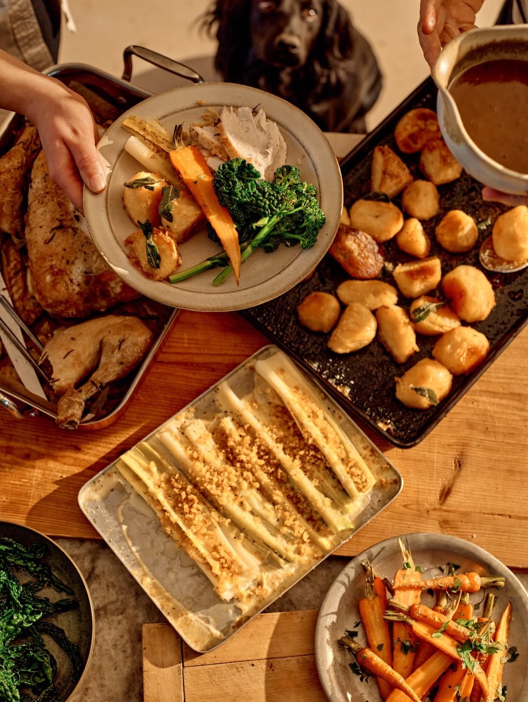 Emma Lee X The Newt in Somerset Jan. 26