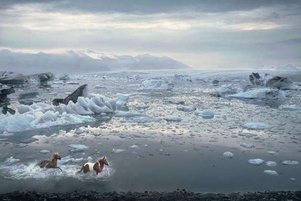 Tim Flach