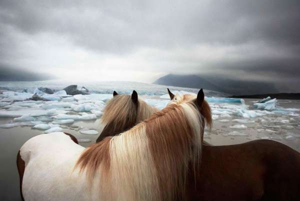 Tim Flach