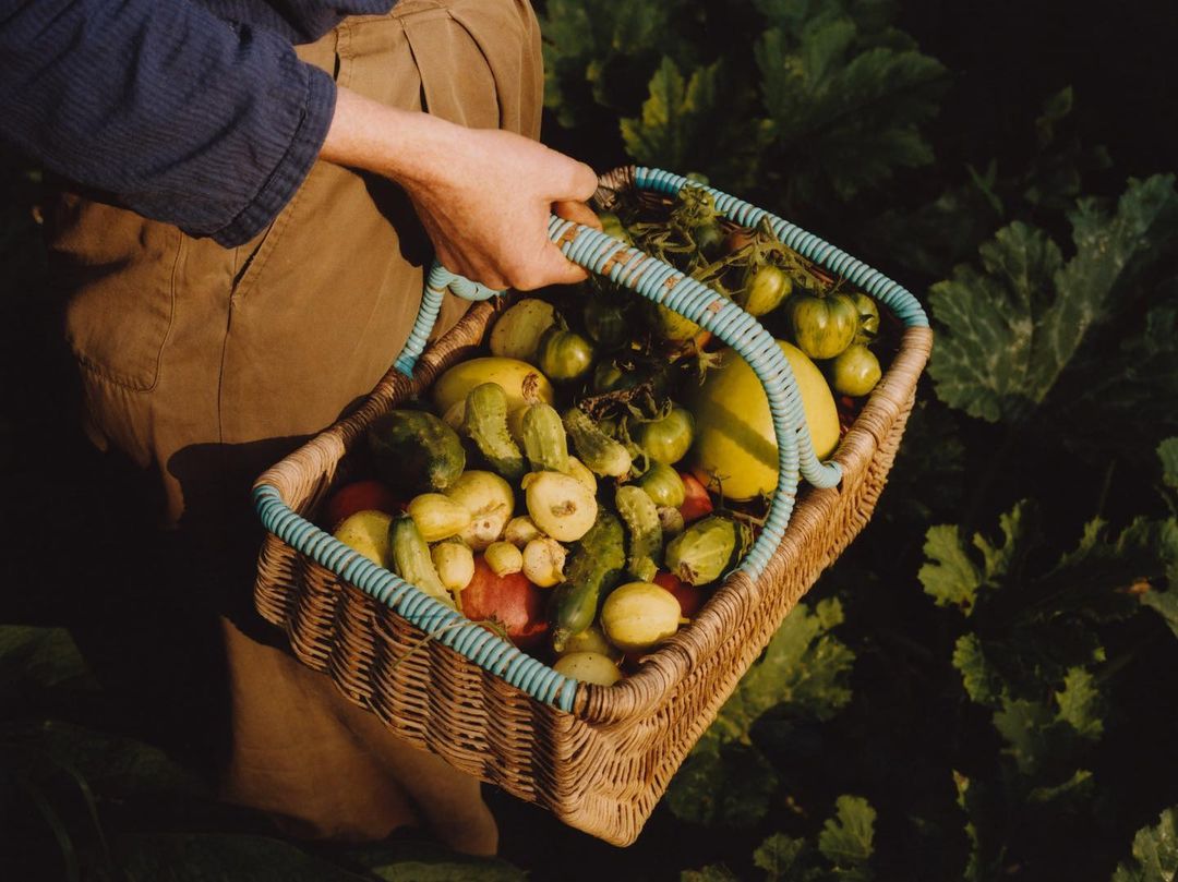 Alys Fowler |  May. 21