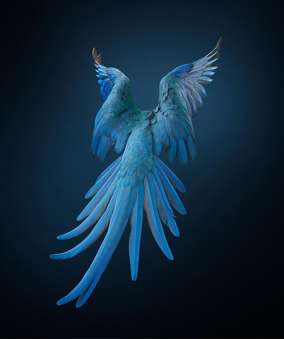 Tim Flach