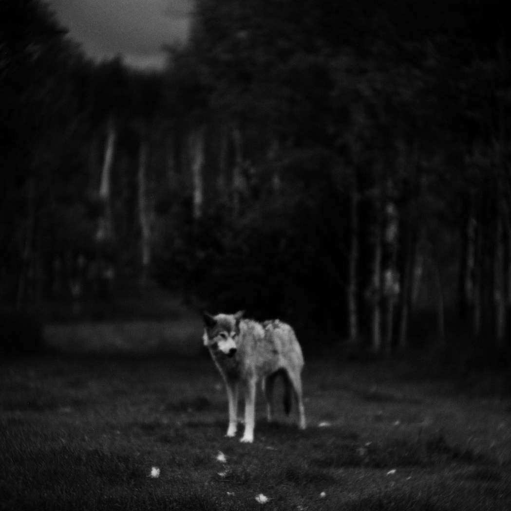 Initial LABO |  Feb. 21