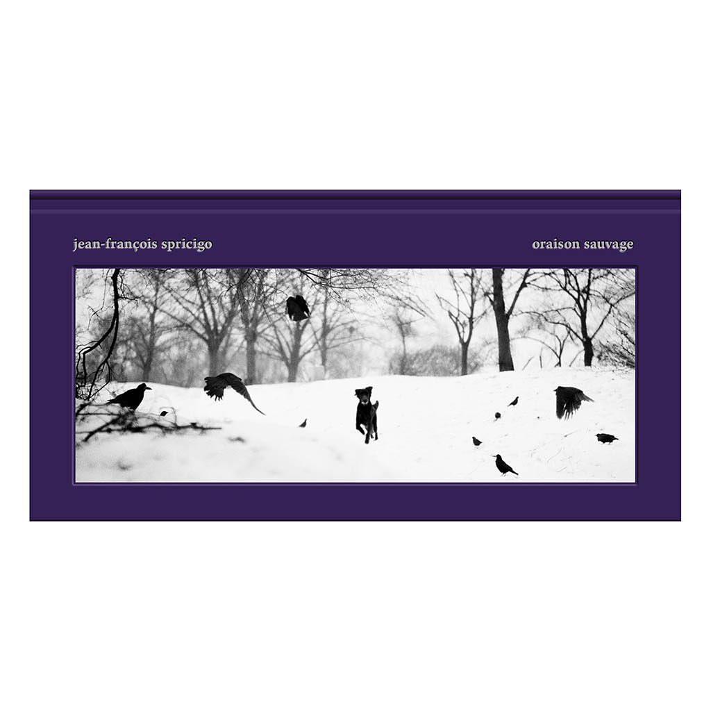 Le bec en l'air |  Dec. 21