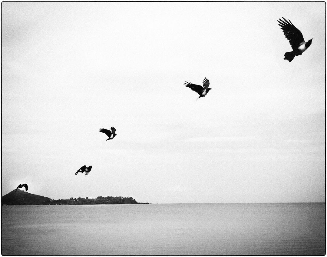 Ministère de la Culture |  Feb. 23