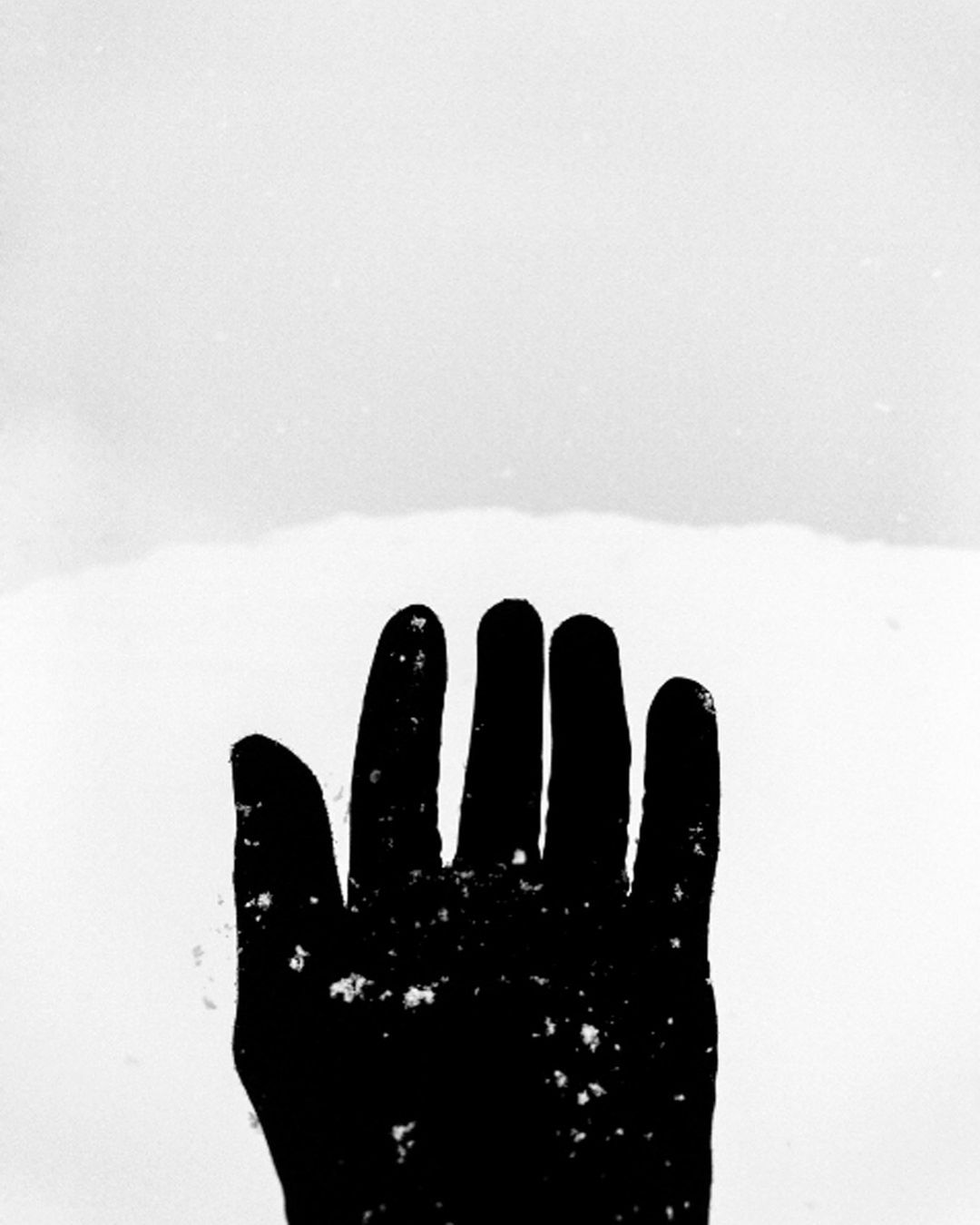 Jean-François Spricigo