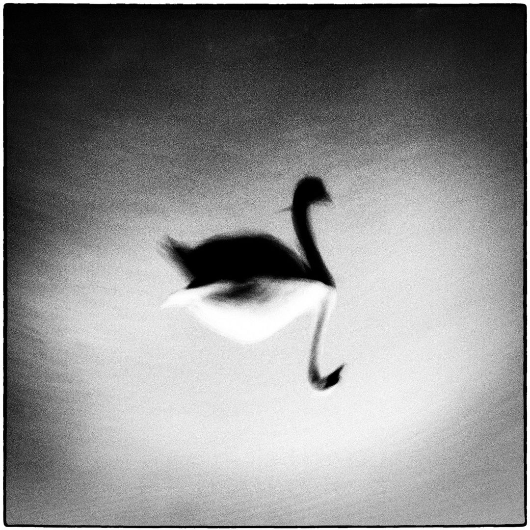 Jean-François Spricigo