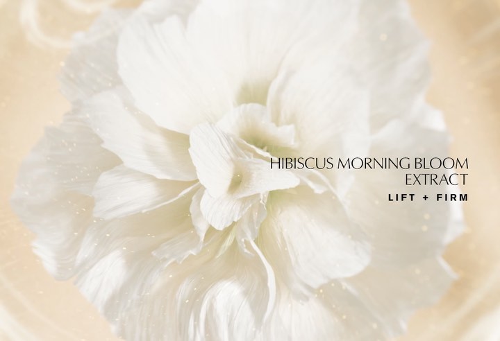 Estee Lauder |  Jul. 23