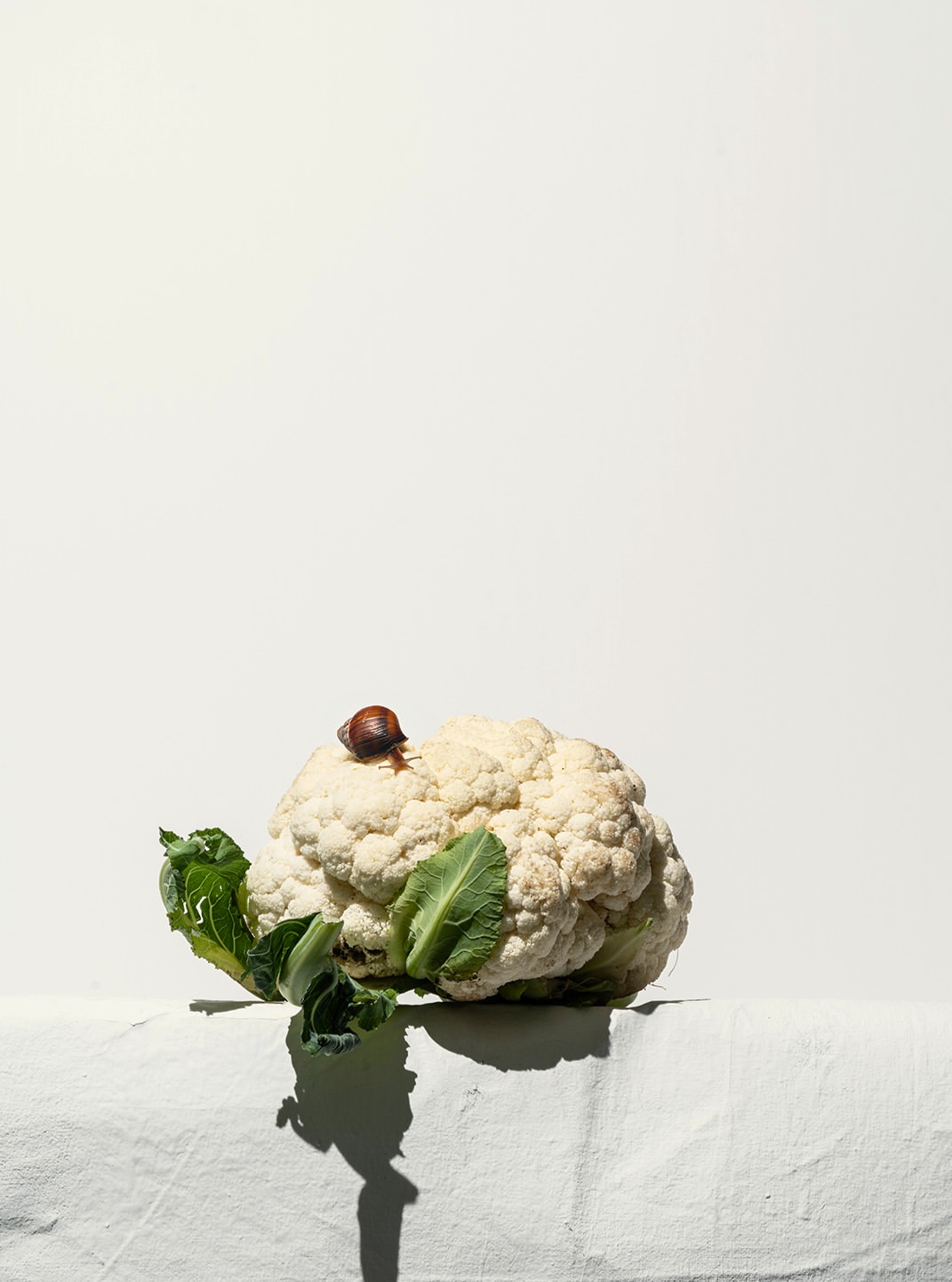 Pia Grimbühler Aug. 25