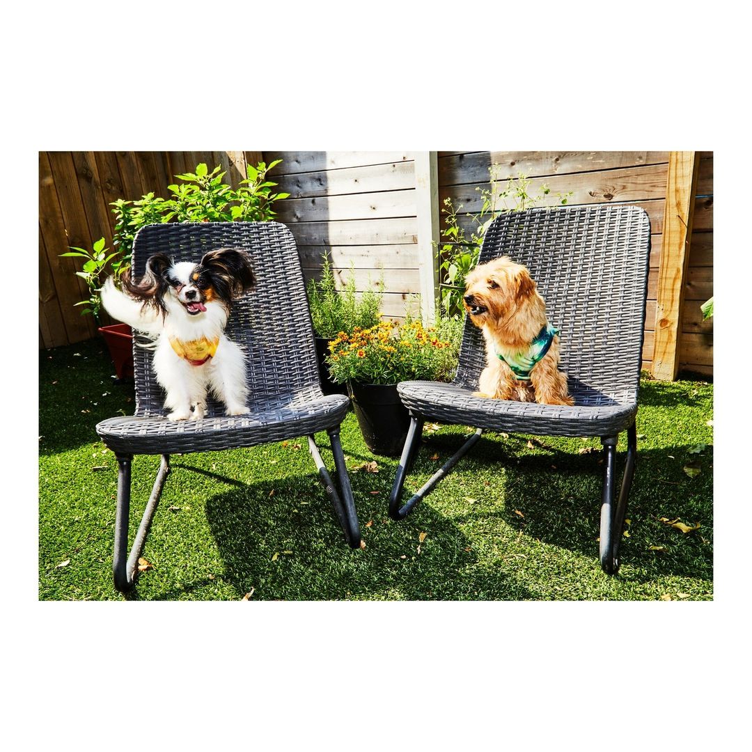 The Washington Post Magazine |  Nov. 21