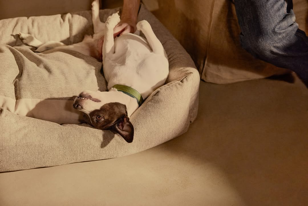 <a href="/tori-ferenc">Tori Ferenc</a> <span style="text-transform: none; white-space: nowrap;">Nov. 25</span>