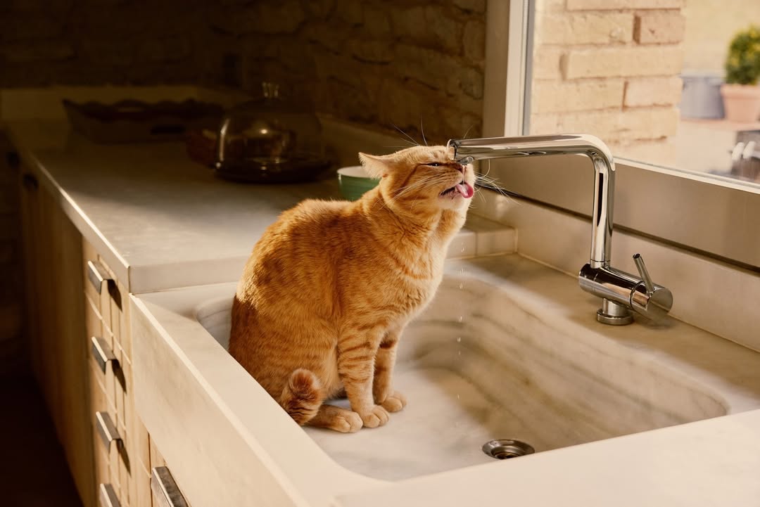 <a href="/tori-ferenc">Tori Ferenc</a> <span style="text-transform: none; white-space: nowrap;">Nov. 25</span>