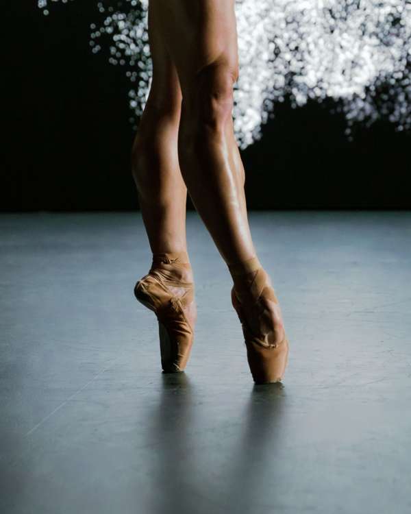 A live exchange of form and light, shaped i...