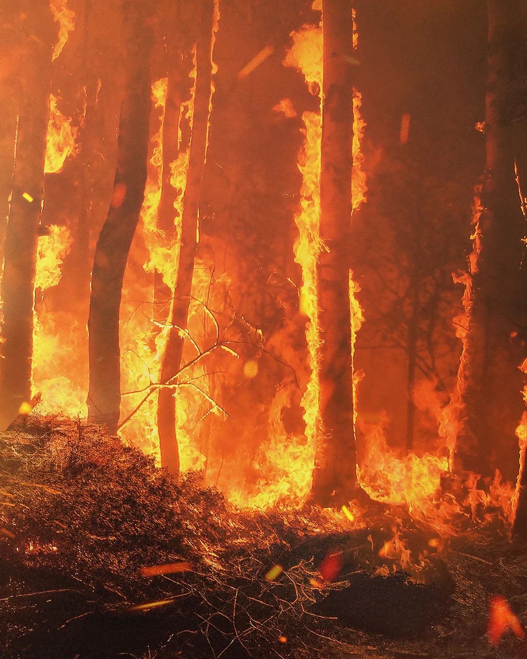 Mighty Earth |  Oct. 23