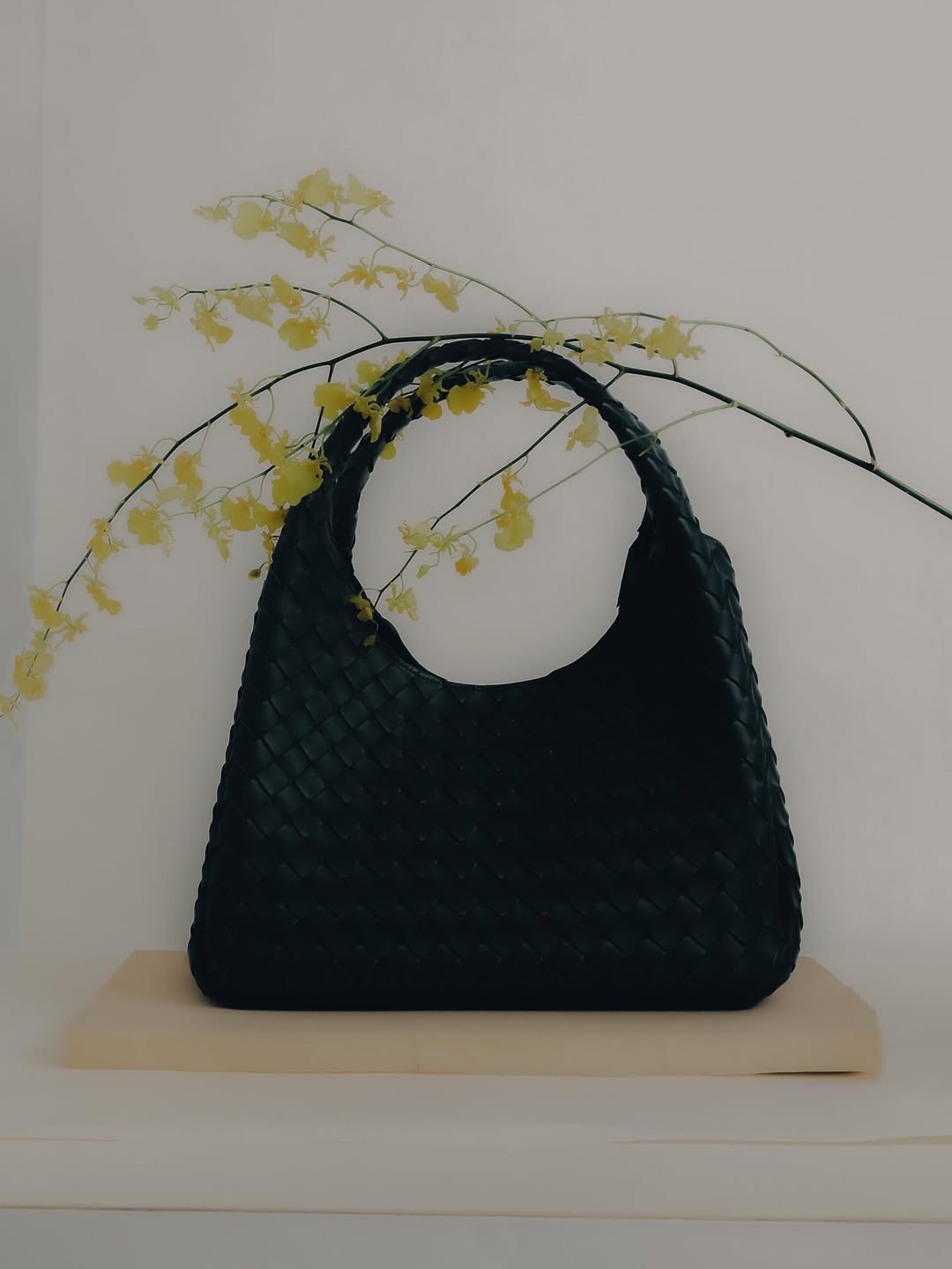 Plusia Roms X Bottega Veneta Oct. 25