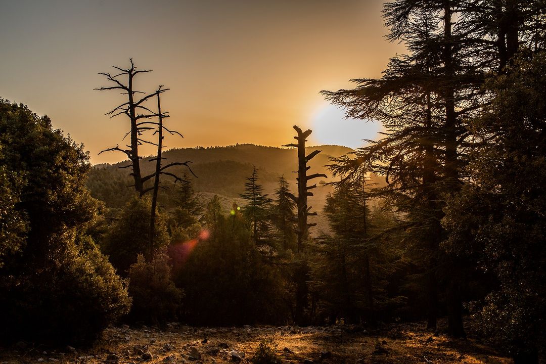 KILIAN PARIS |  Nov. 22