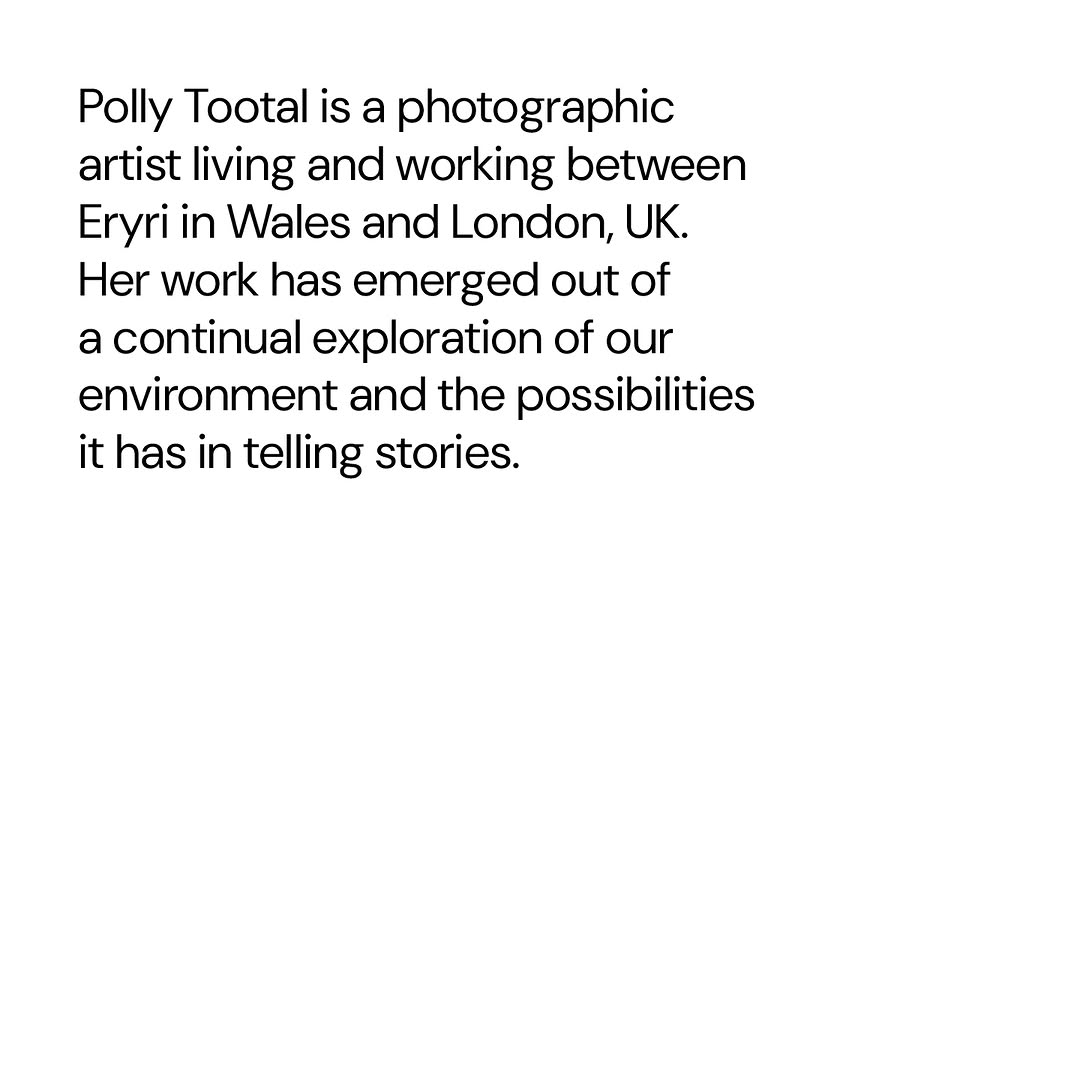 Polly Tootal