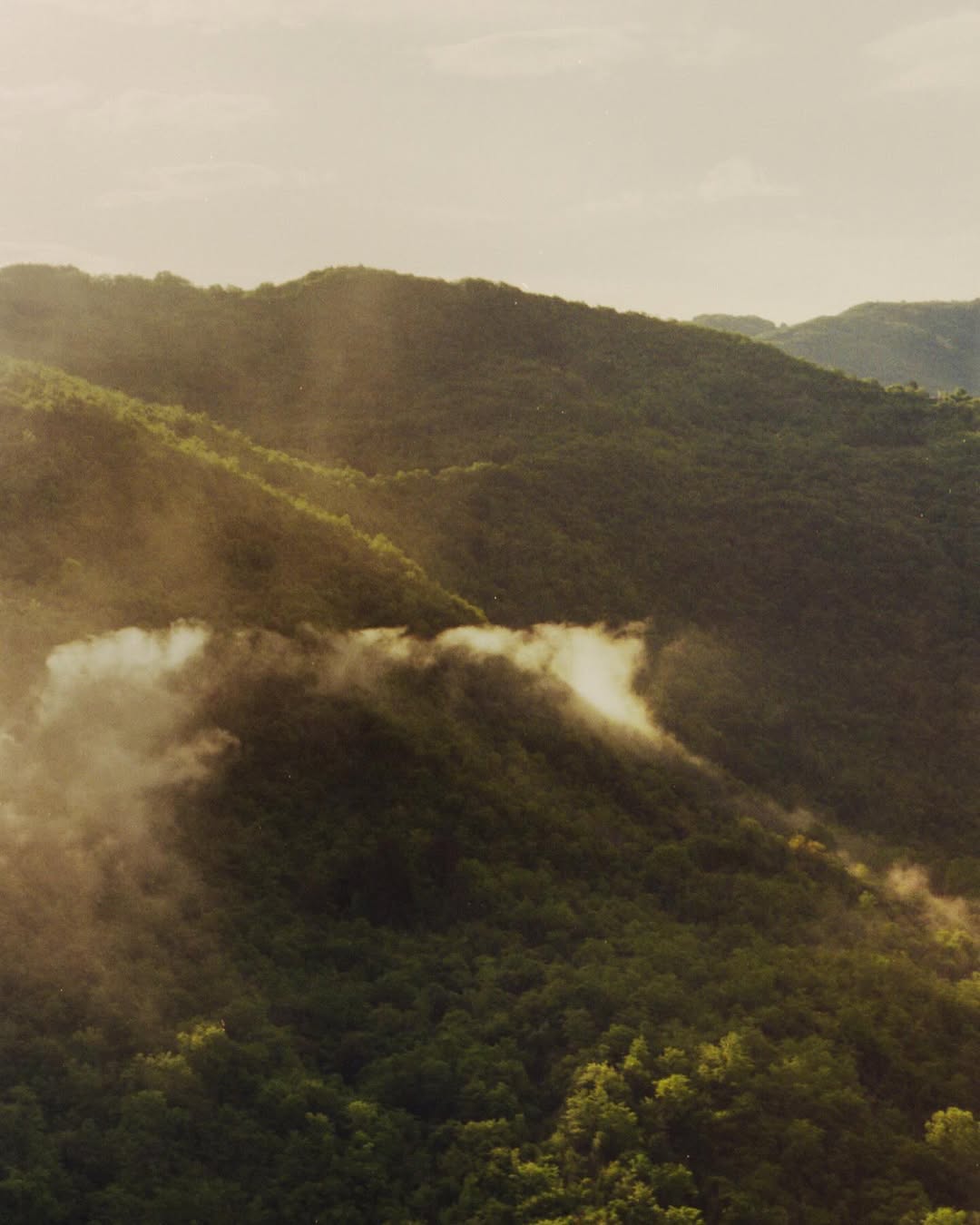 AESOP
Shot by GAIA BONANOMI [FISHEYE]