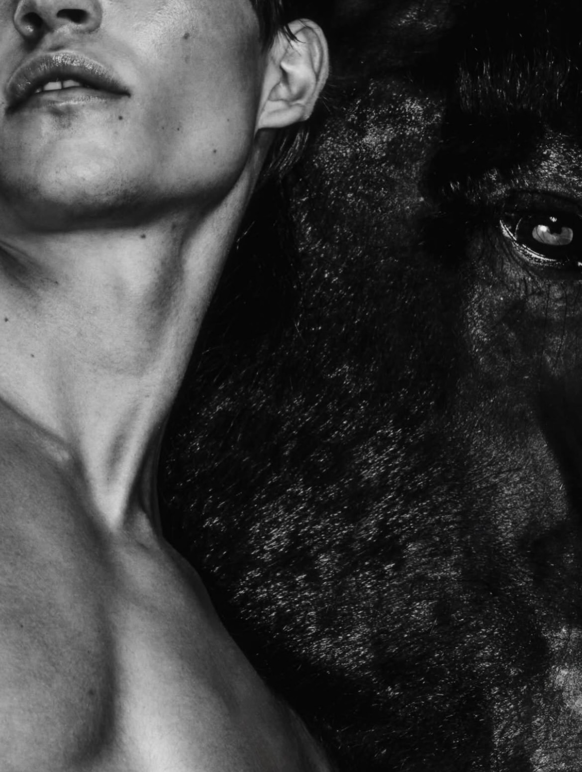 THE COLLECTOR
Shot by MATTIA GUOLO [PS ARTI...